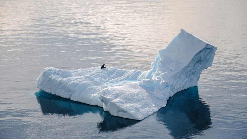 Un iceberg gigante del tamaño de Puerto Rico se fragmentó en la Antártida: así afectará al mundo