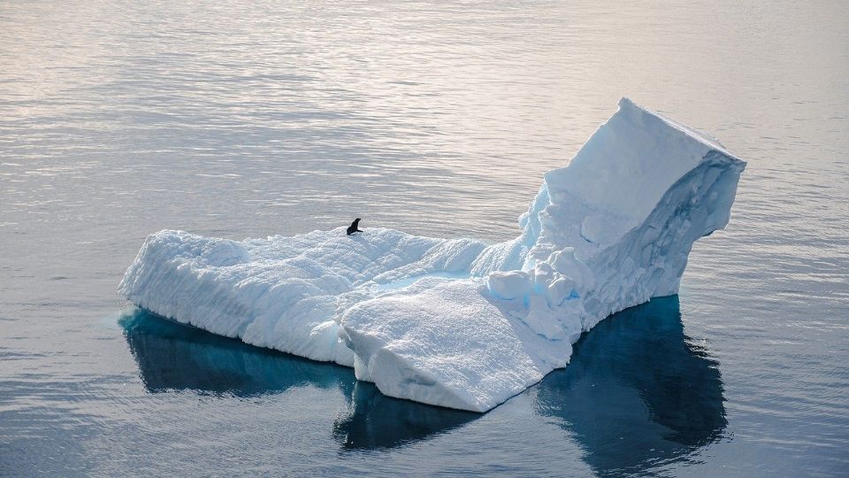 Expertos señalan que el cambio climático ha afectado en todos los continentes y de igual manera ha dejado afectaciones en la Antártida.