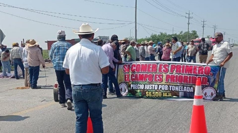 Los productores agrícolas están solicitando un precio de ocho mil pesos para el trigo.