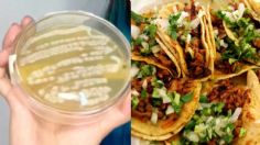 VIDEO: encuentran gran cantidad de microbios en las salsas de taquerías en CDMX