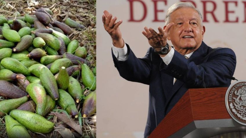 ¿Qué es el chinín y las gruesas? el desayuno que AMLO presumió en la Mañanera