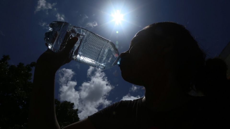 El agua es el líquido más importante para la vida en la Tierra, por lo que los seres vivos siempre deben estar hidratados con ella