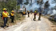 Voraz incendio en Veracruz consume 200 hectáreas de bosque