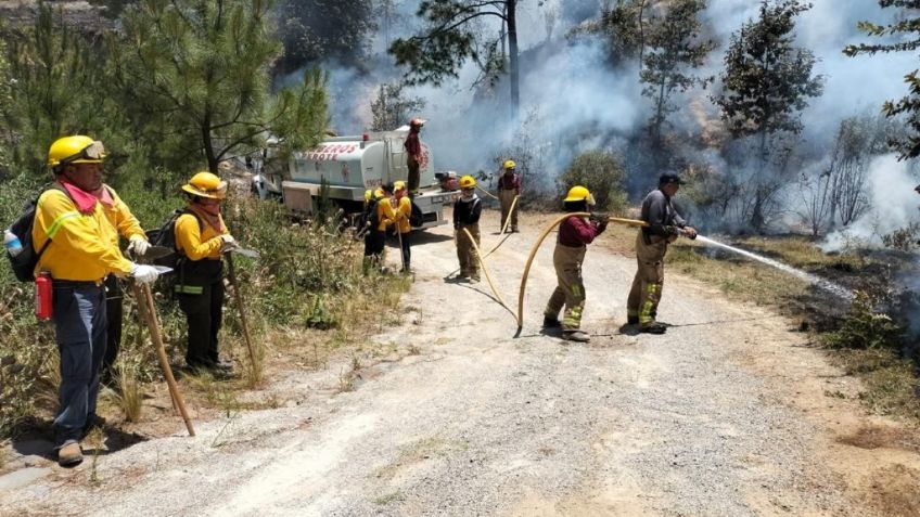 Voraz incendio en Veracruz consume 200 hectáreas de bosque