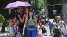 Clima en México: se esperan temperaturas de hasta 45 grados hoy 20 de JUNIO