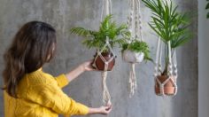 Plantas: ¿cómo hacer un mini jardín sin tener un patio en tu casa?