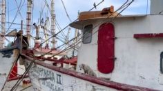 VIDEO: el muelle fantasma en Mazatlán que casi nadie conoce, son más de 500 barcos en ruinas