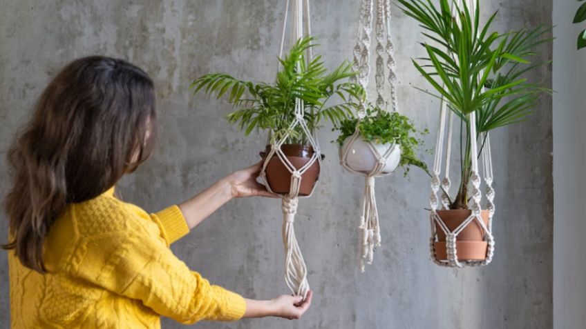 Plantas: ¿cómo hacer un mini jardín sin tener un patio en tu casa?