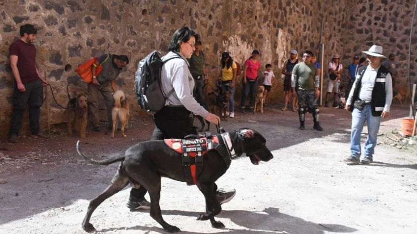 Tlalpan arranca el segundo Taller de Rescate para Perros