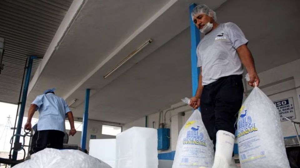 Por el momento las fábricas de hielo no están operando al máximo de su capacidad, pues el incremento en el costo de la electricidad para su producción.