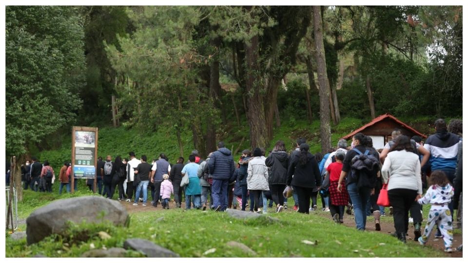 La temporada de avistamiento de las hadas del bosque estará vigente hasta el 31 de julio.