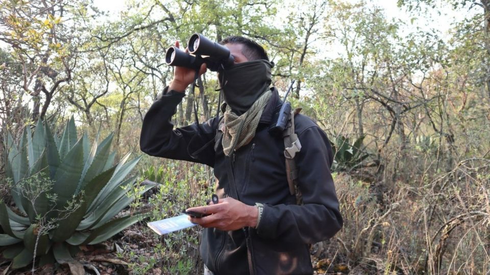 Beneficiarios del programa Empleos Verdes tienen una función de rescate a la biodiversidad