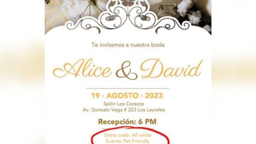 Indigna invitación para boda "pet friendly": se aceptan mascotas, pero no niños