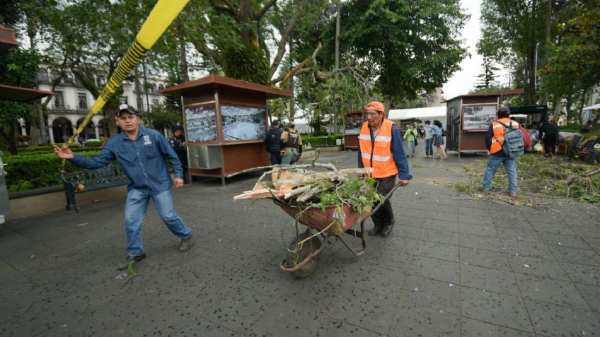 Alerta amarilla en CDMX: pronostican fuertes vientos en todas las alcaldías