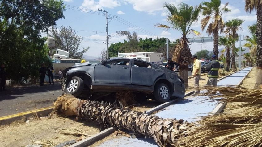 Se debate entre la vida y la muerte tras impactarse contra un árbol