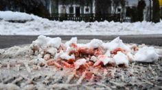 ¿Qué es la "nieve de sandía"? El fenómeno que tiñe de rosa y rojo las montañas de EU