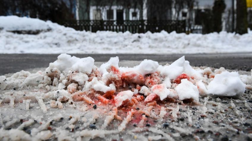 ¿Qué es la "nieve de sandía"? El fenómeno que tiñe de rosa y rojo las montañas de EU