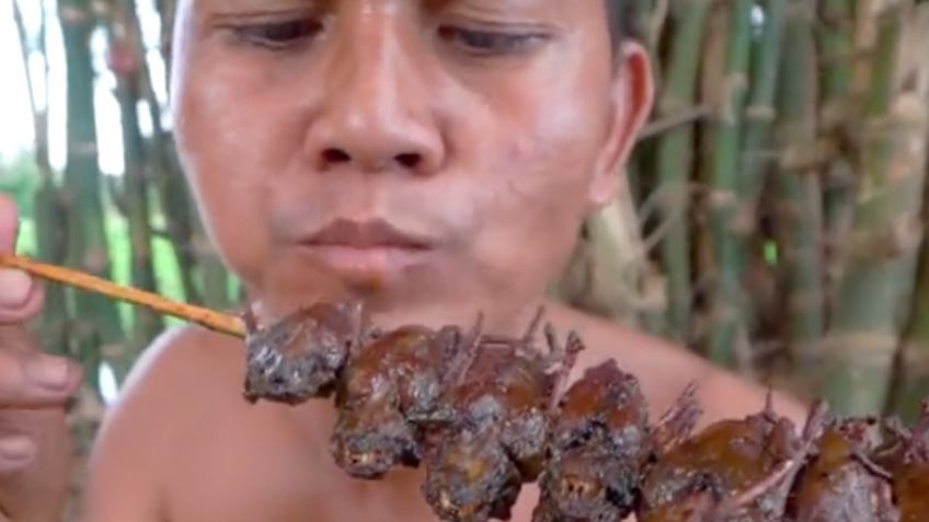 Causa indignación el video de unos hombres comiendo murciélagos: “¿quieren otra pandemia?”