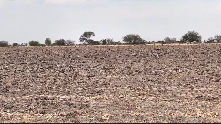 Aguascalientes está pasando de una sequía severa a sequía extrema