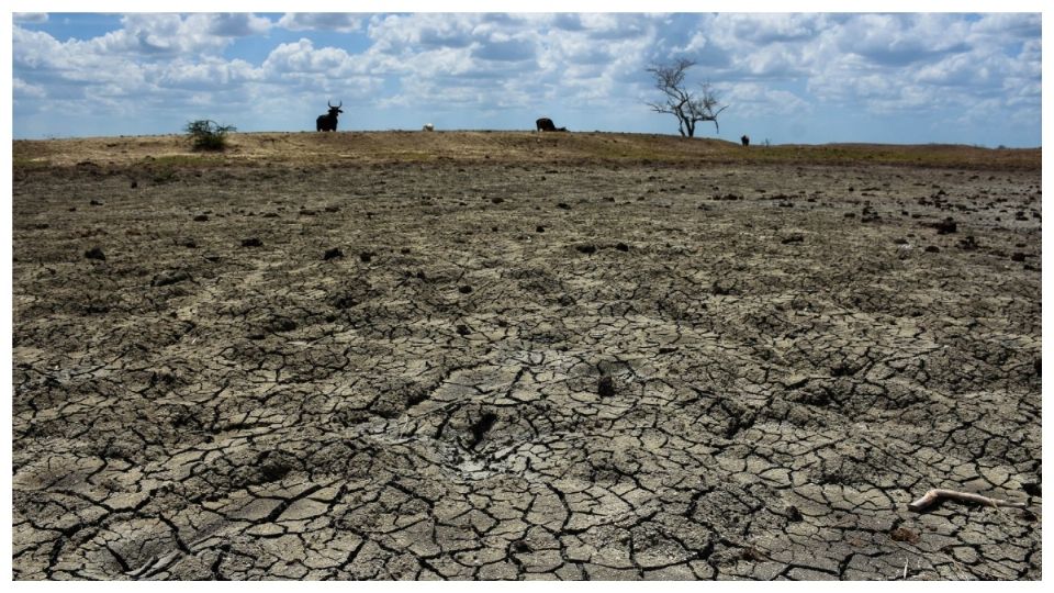 La falta de tormentas no sólo afecta al norte del país. En la península de Yucatán se resiente el largo periodo de calor.
