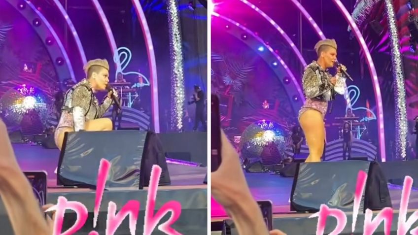 VIDEO: Fan le lanza las cenizas de su madre a Pink en pleno concierto