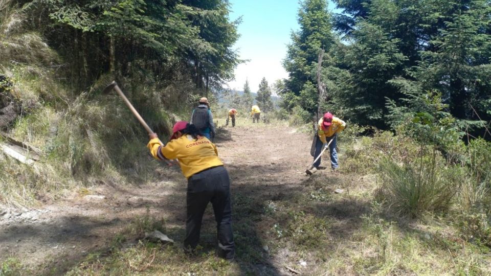 23 brigadista participaron en los trabajos