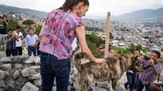 Claudia Sheinbaum destaca “El Reto Perrón” para cuidar mascotas