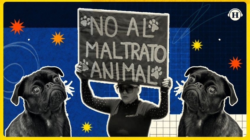 Maltrato animal: ¿los animales son sujetos de derechos?