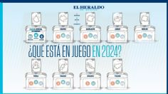 ¿Qué estará en juego en las elecciones de 2024?