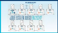 ¿Qué estará en juego en las elecciones de 2024?