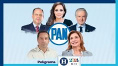 Elecciones 2024: ¿quiénes son los aspirantes del PAN a la Presidencia?