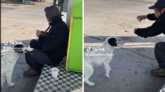 VIDEO | Perrito se vuelve viral por robarle el desayuno a un trabajador, ¡fue un descuido!