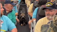 "Dixie", la perrita que "reza" por los pasajeros de un vuelo antes de que el avión despegue