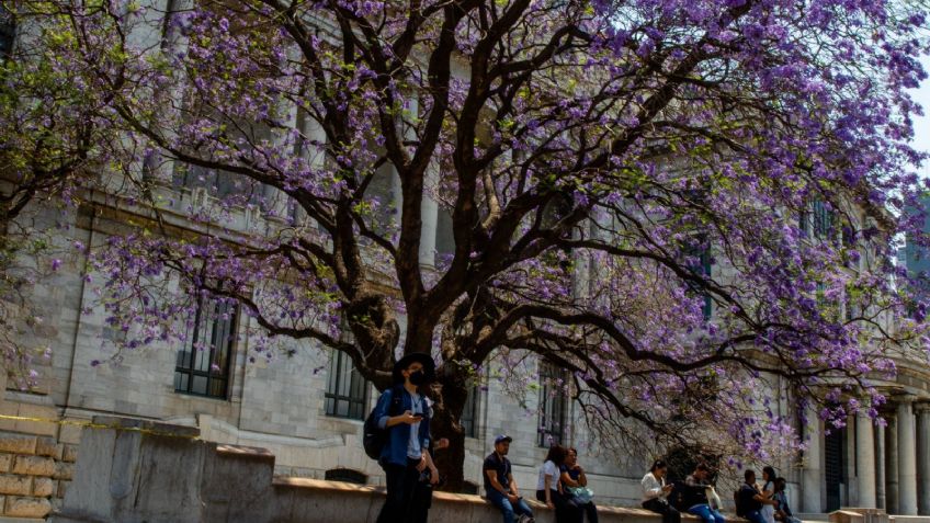 ¿Hay contingencia ambiental en la CDMX hoy 8 de junio?