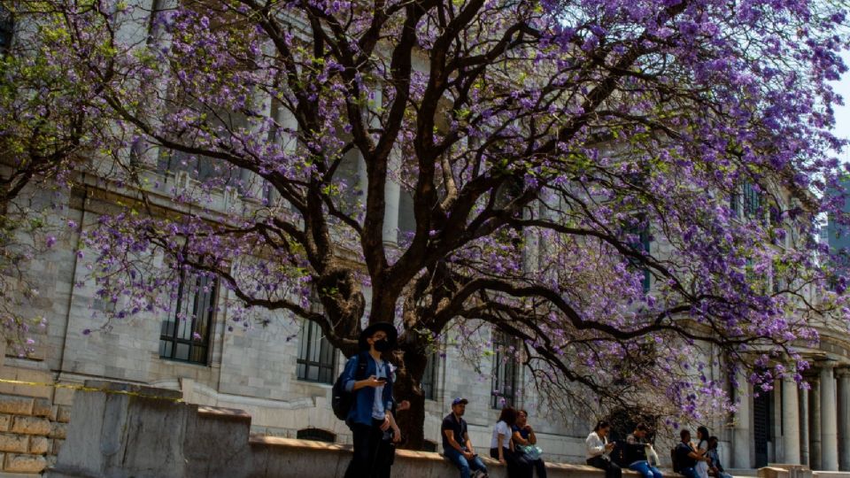 La calidad del aire en la ciudad es buena.