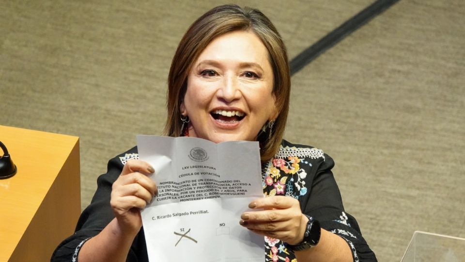 La senadora será la abanderada del FAM