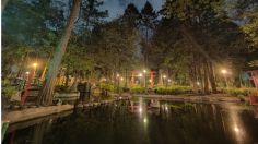 El jardín japonés más grande de México se encuentra en Coyoacán