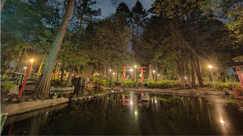 El jardín japonés más grande de México se encuentra en Coyoacán