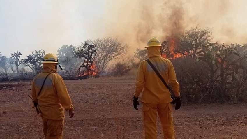 Casi 40 hectáreas de pasto seco terminaron incendiadas en Villas de las Norias