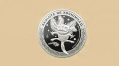 Moneda conmemorativa del ajolotito: ¿cuánto vale y dónde la puedo comprar?