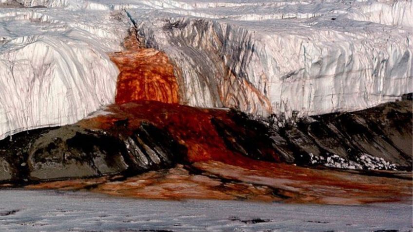 Existen unas “cataratas de sangre” en el punto más inaccesible de Antártida, ¿por qué están teñidas de rojo?