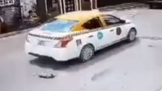 VIDEO: taxista atropella con dolo y mata a perrito callejero en Nuevo León, ya fue identificado