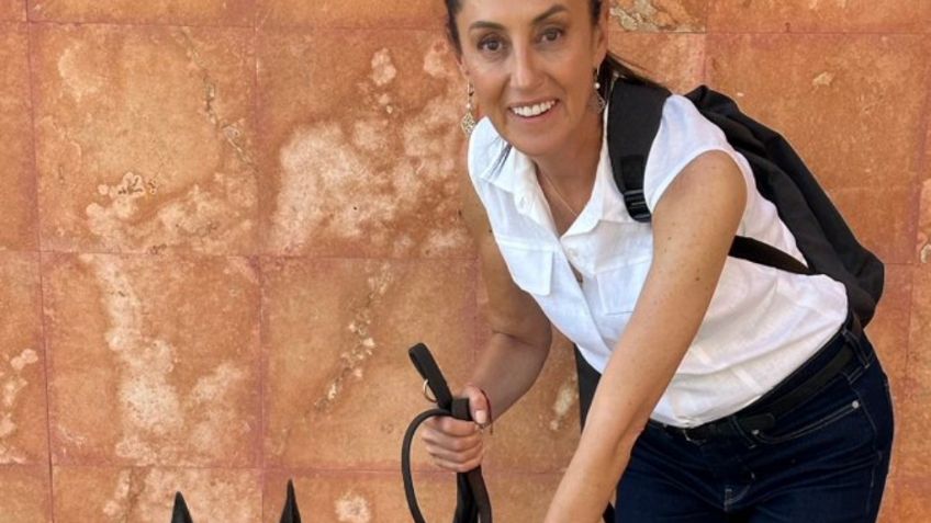 Claudia Sheinbaum convive con el perrito Toalla, un héroe de cuatro patas de la Guardia Nacional