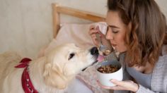 Uvas, aguacate y nuez: estos son 5 alimentos mortales para los perros