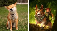 ¿Un regalo de las hadas?: esta es la hermosa leyenda del nacimiento de los corgis