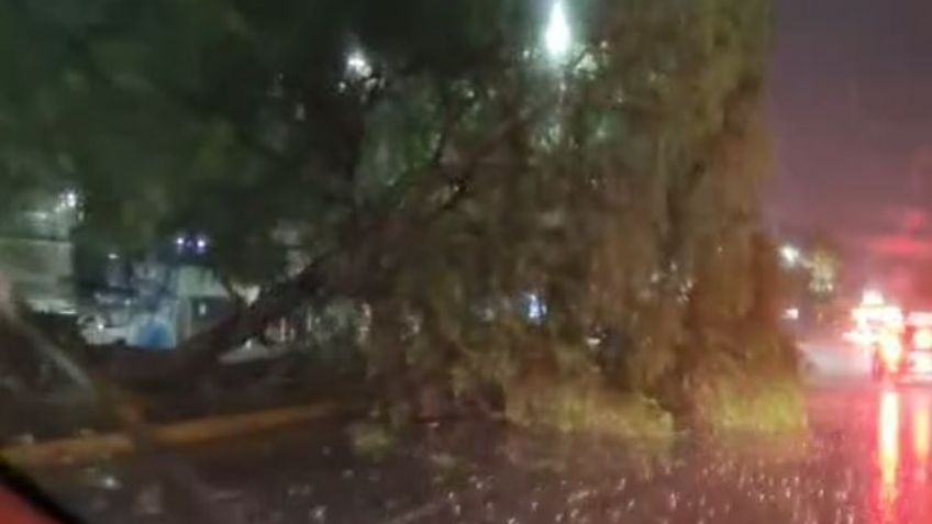 Más de 150 intervenciones realizó la Policía Municipal en noche de lluvias