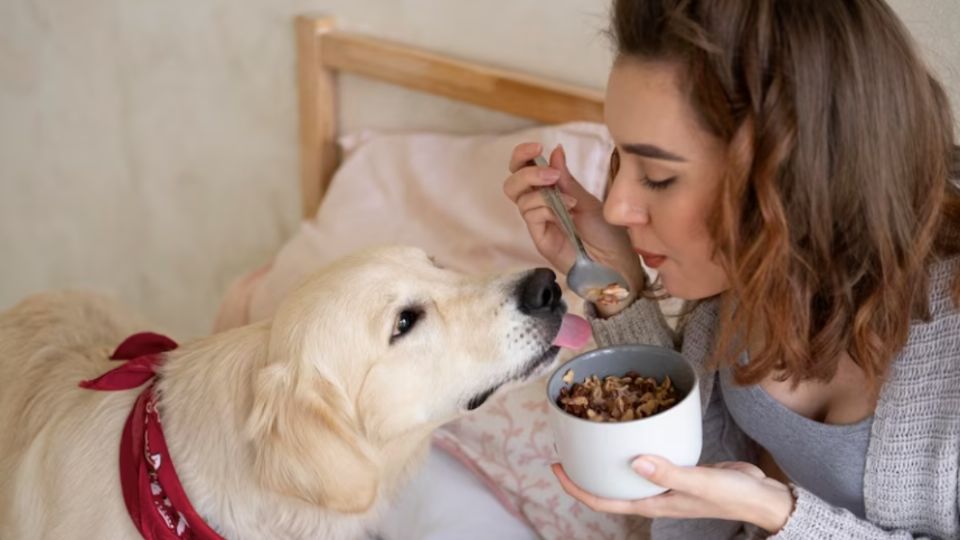 Estos alimentos se deben evitar a toda costa.