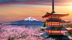 ¿Quieres viajar gratis a Japón?, apresúrate a aplicar a esta convocatoria del IMJUVE