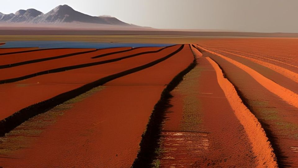 La inspiración salió del libro 'El marciano' de Andy Weir, donde un astronauta botánico intenta cultivar papas en el 'dios de la guerra'.