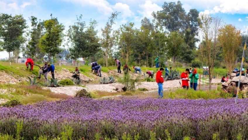 CDMX mantendrá la defensa del Suelo de Conservación y bosques